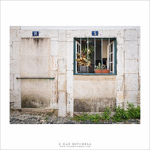 Window 15
