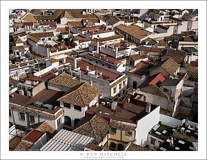 Rooftops of Cordoba