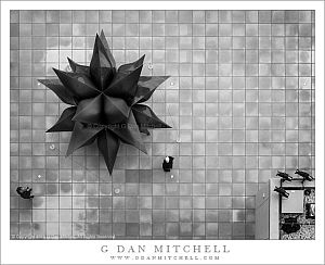 Black Star, Tiles and People