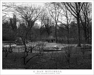 Central Park, Winter