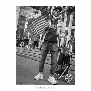 Flag Vendor, Manhattan