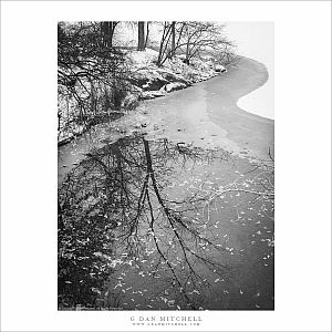 Winter Reflections, Central Park