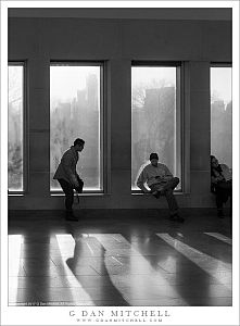 Museum Windows, Shadows