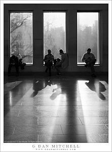 Museum Windows, Central Park