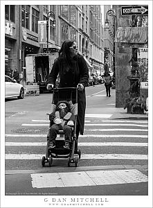 Woman Pushing Stroller