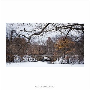 Balcony Bridge, Winter