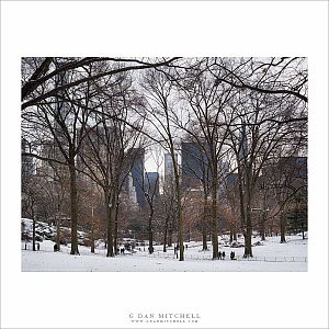 Central Park, Trees, Snow