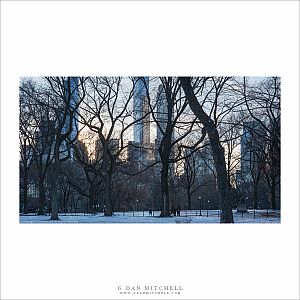 Winter Scene, Central Park