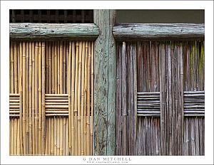 Bamboo Fence, New and Old