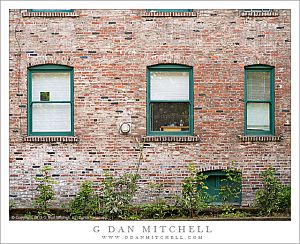 PearlDistrictBrickWallWindows20130525