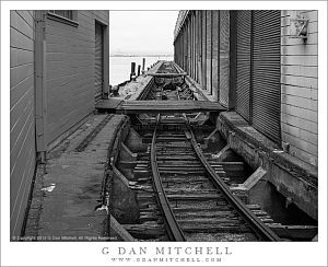 Old Tracks, San Francisco Bay