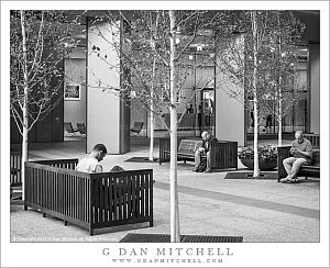 Three Men, Urban Garden