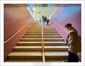 Up The Stairs