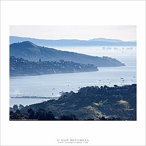 Greater Bay Area