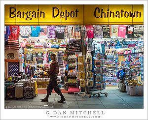 Bargain Depot Chinatown