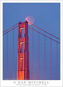 LunarEclipseGoldenGateBridgeVert20111210