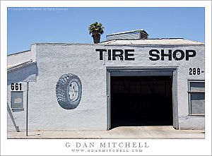 TireShopPalmTree20100613