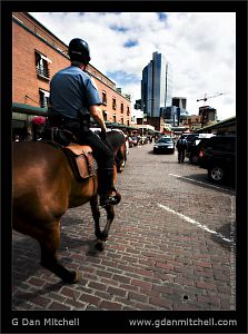 PikePlaceHorsePatrol2007 08 21