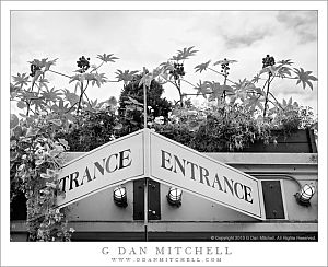 TranceEntrancePikePlaceMarket20130814