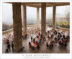 Patio, Rain and Fog