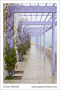 GettyTrellis2007 11 11