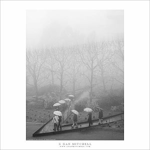 Umbrellas and Fog