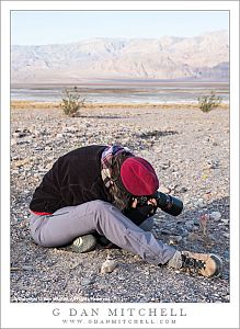 Patty Emerson Mitchell, Macro Photographer, Death Valley