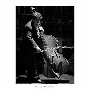 Bassist Bill Everett
