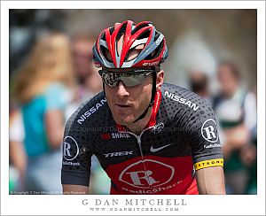 LeviLeipheimerStageOne2010TOC