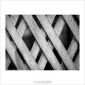 LatticeFenceFiloliBW20230307