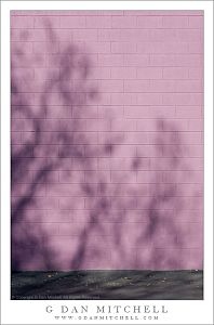 ShadowPurpleWall20090110