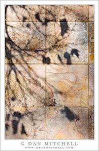 TreeShadowTileWall20090110