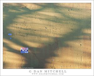 UrbanWallTreeShadowWinterLightWG20121227