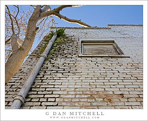 WallPipeWindowTree20090104