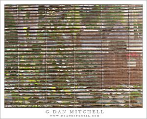 WindowBlindsScene20130316