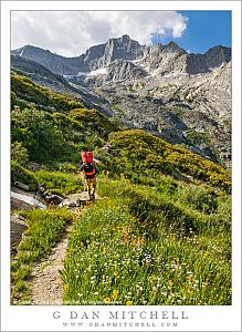 Ascending to Kaweah Gap