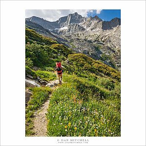 Ascending to Kaweah Gap
