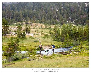 Crossing The Stream