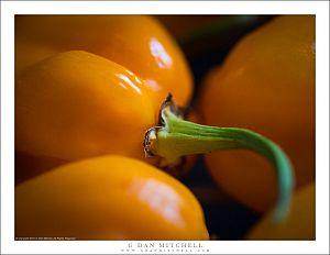 Orange Pepper No. 1