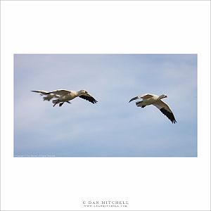 About to Land