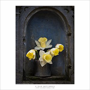 Alcove With Flowers