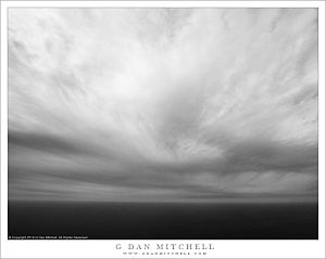 Pacific Vortex