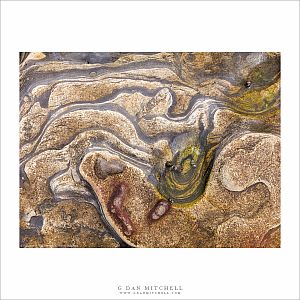 Point Lobos Color Photographs