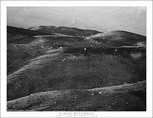 Across Desert Hills