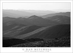 AguereberryAfternoonLightBW20080403