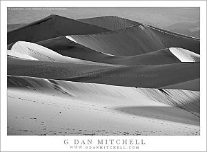 DeathValleyDunesMorningBW20100328