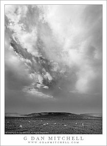 DustStormBW20090403