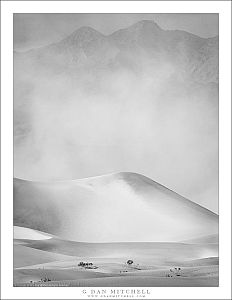 Sandstorm Rising