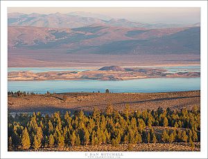 Above Mono Basin