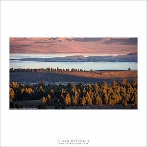 Mono Lake, Paoha Island